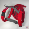 Arnês Walkies 2Y XS Mini – Xtreme Colors (2 cores) - Thumbnail Image 1