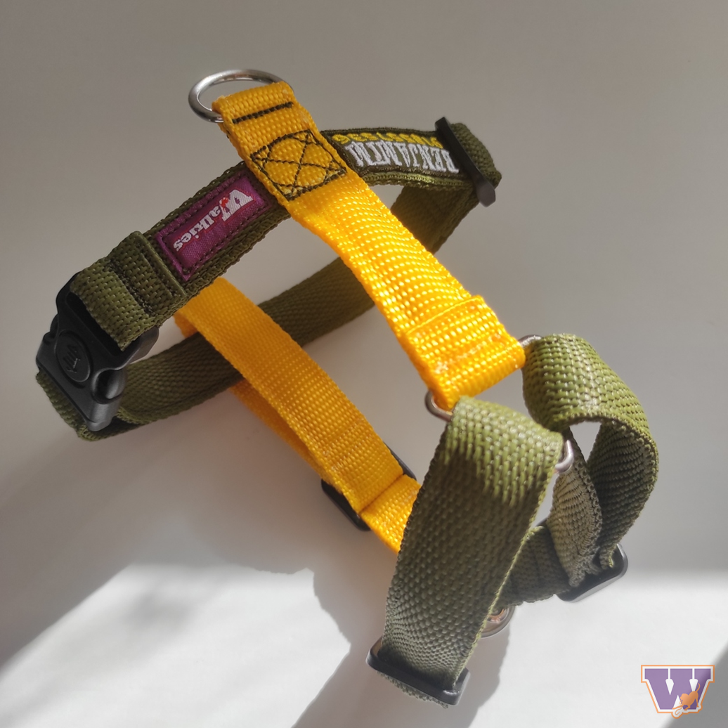 Arnês Walkies 2Y XS Mini – Xtreme Colors (2 cores) - Image 3