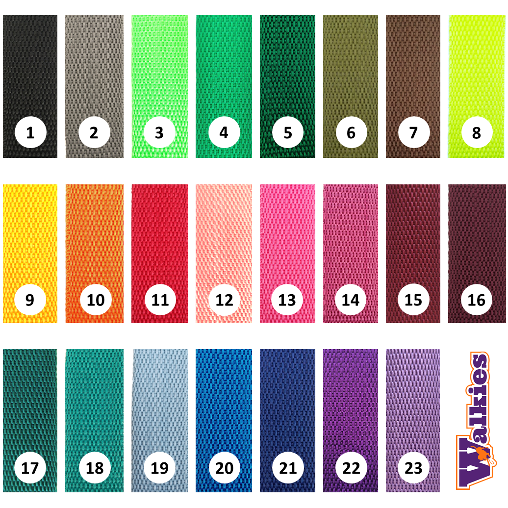 Paleta de Cores Walkies 2021 (2,5cm)