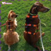 Arnês Walkies 2Y XS (mini) - Thumbnail Image 12