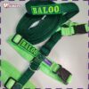 Trela Walk-On Multi-Posições (modelo Normal) - Thumbnail Image 18