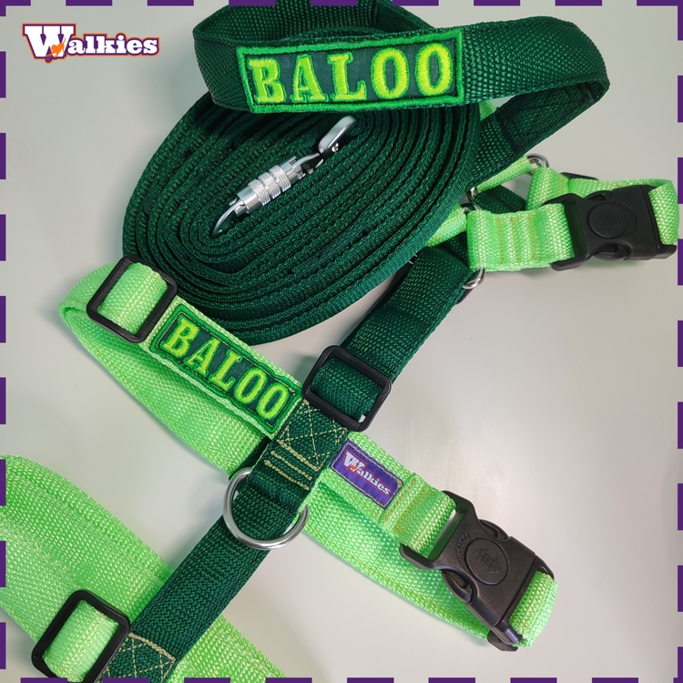 Trela Walk-On Multi-Posições (modelo Normal) - Image 18
