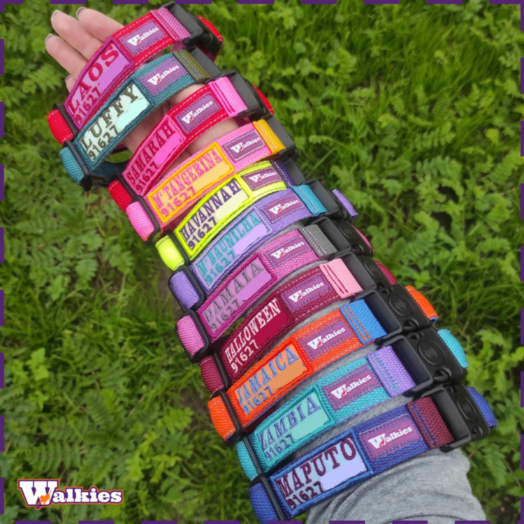 Coleira WalkIN (tamanhos M, L, XL) - Image 12